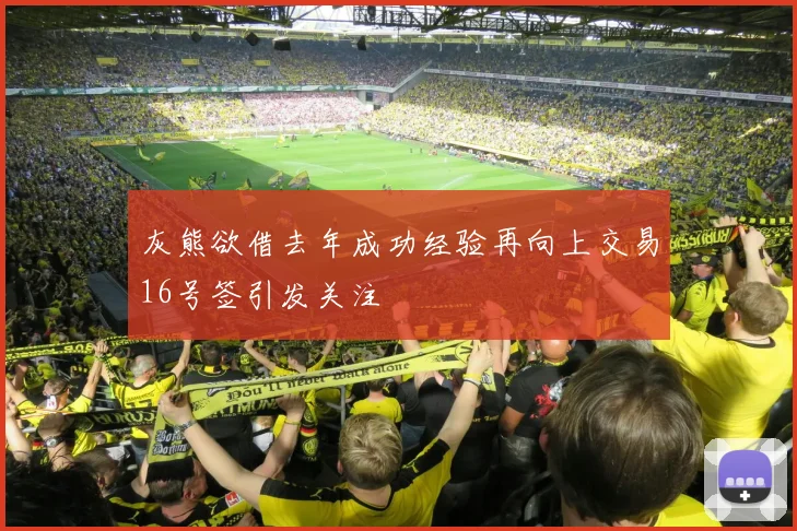 灰熊欲借去年成功经验再向上交易16号签引发关注